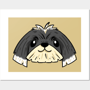 straigh short haired shih tzu Posters and Art